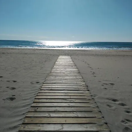 Leo Playa De San Juan Alicante