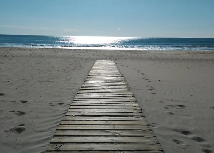 Leo Playa De San Juan Alicante
